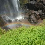20170409_132747