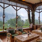 silver back lodge 2