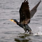 fixedw_large_4x (2)