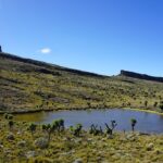 Mt.-elgon-NP-2