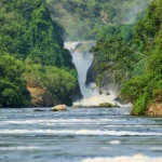 Mursison-falls-NP-1