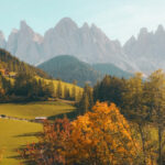 portfolio-01.jpg